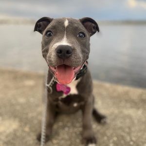 Meet your Posher, Kim